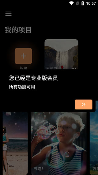 pixaloop全功能破解版2023中文版下载 第1张图片