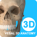 维萨里3D解剖VIP破解版免费v6.0.1安卓版