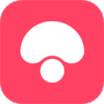 蘑菇街服装搭配app最新版下载v17.6.0.24664安卓版