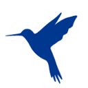 蓝鸟抓包v3.3.6安卓版